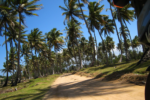 Dominican Republic Motorcycle Tour