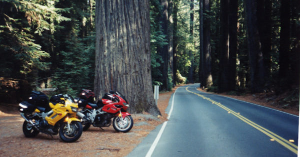 Motorcycles Avenue of the Giants Redwoods