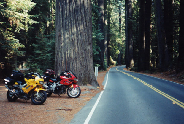 Motorcycles Avenue of the Giants Redwoods