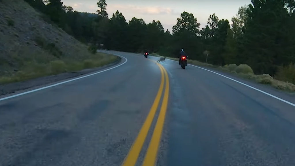 Deer running in front of a motorcycle