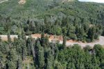 Aerial view of a canyon switchback road
