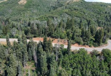 Aerial view of a canyon switchback road