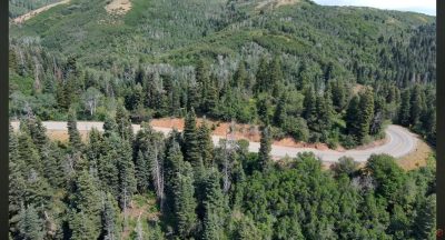Aerial view of a canyon switchback road