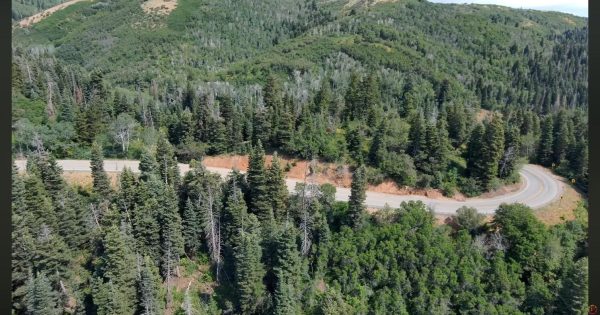 Aerial view of a canyon switchback road