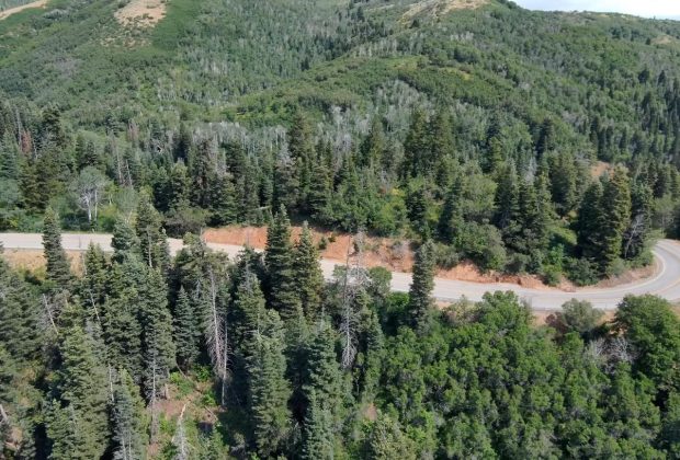 Aerial view of a canyon switchback road