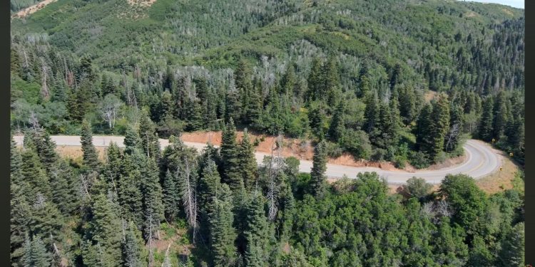 Aerial view of a canyon switchback road