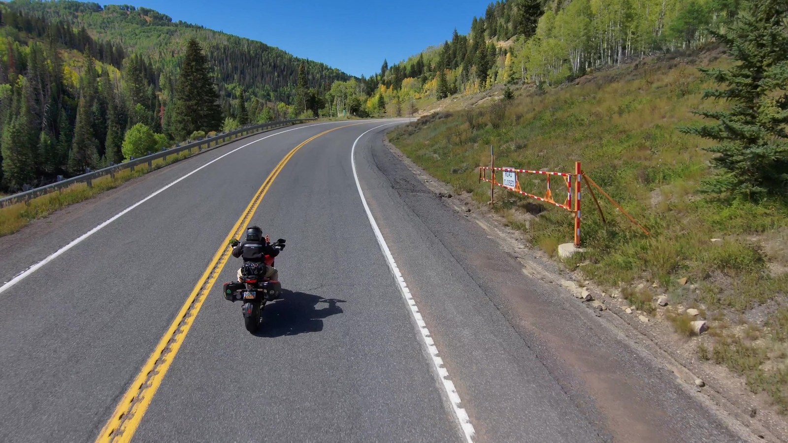 A lone motorcyclist riding an empty tree-lined mountain road