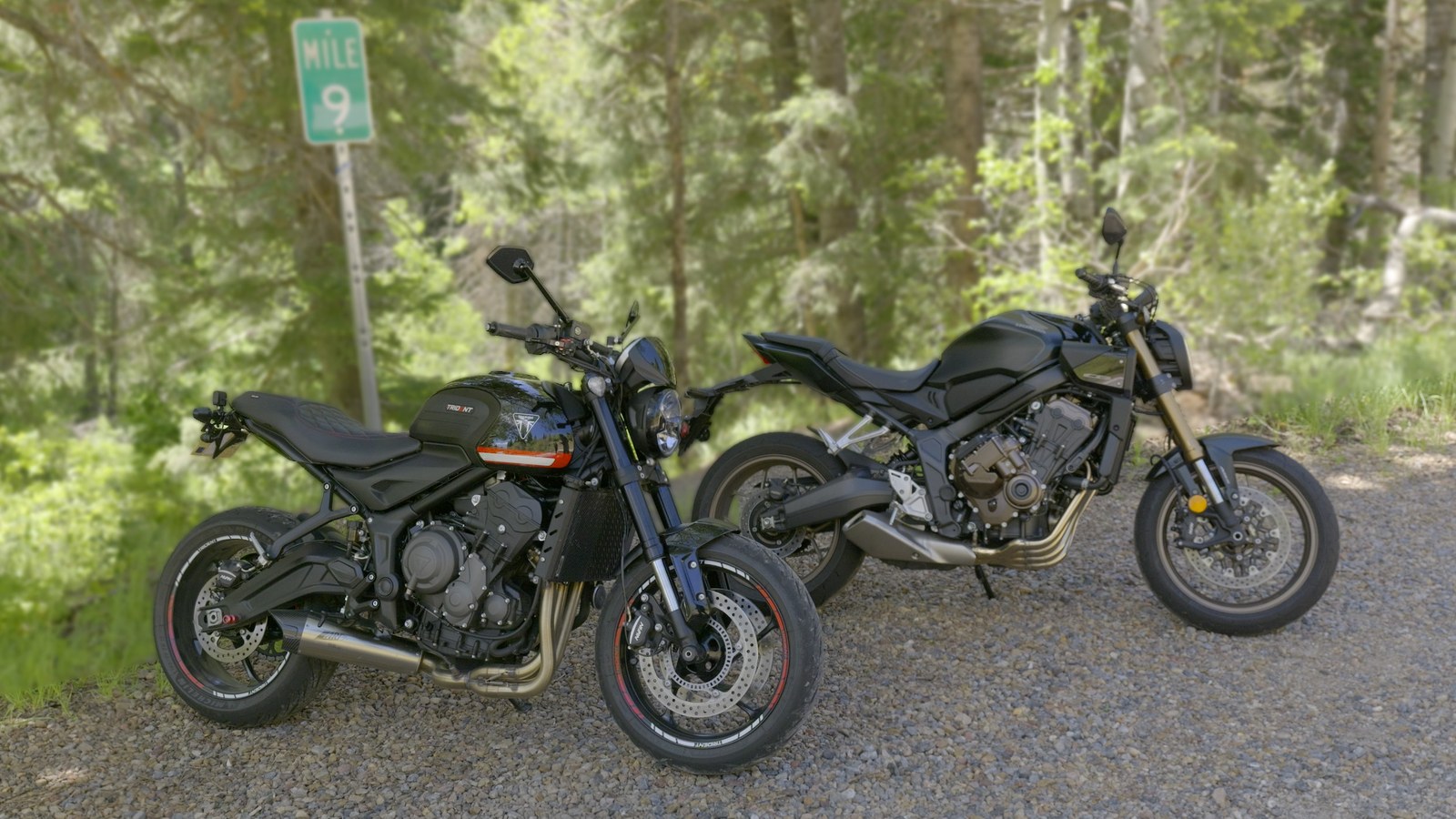 A Triumph Trident 660 and a Honda CB650R parked side by side on a forest gravel road