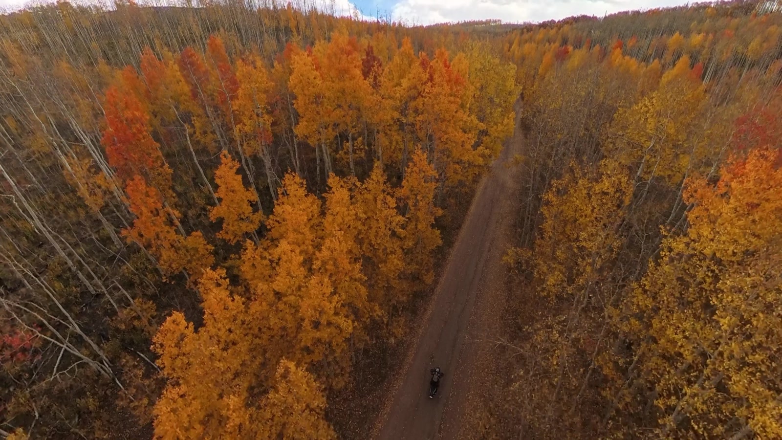 The same dirt road through the aspens, from the A1. Now it's a place.