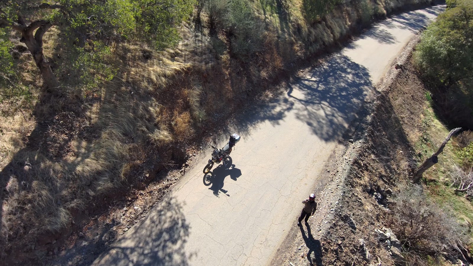 Bare branches are exactly the kind of thin obstacle a drone struggles to see.