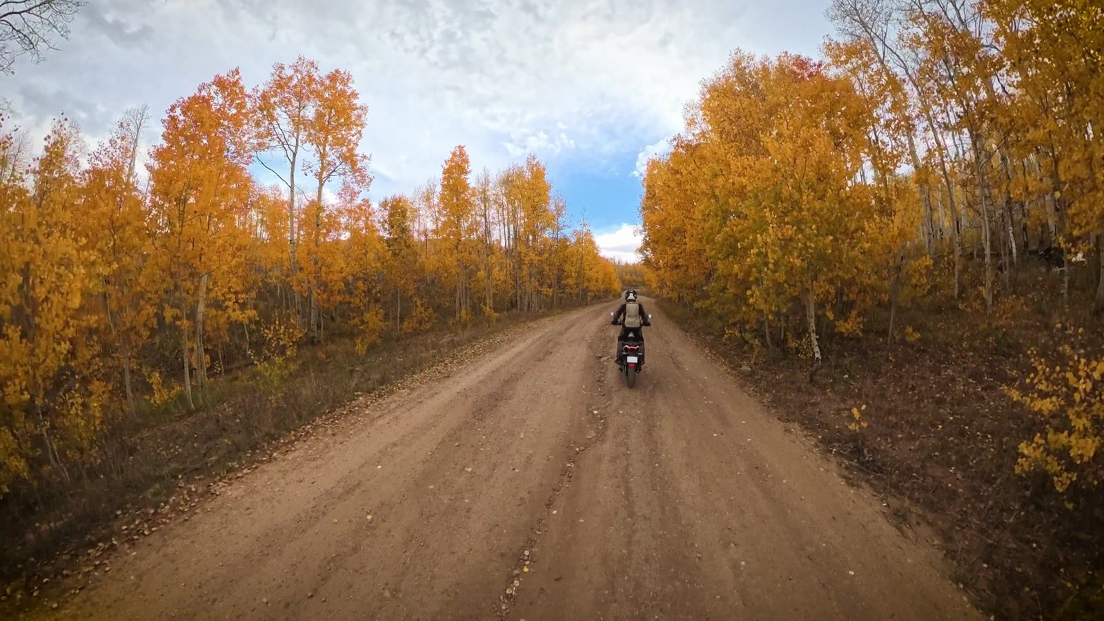 Moto Morini Vettore 450 riding down a dirt road through golden aspen trees